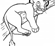 Coloriage Simba endormi