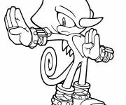 Coloriage Sonic Espio prêt