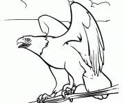 Coloriage et dessins gratuit Aigle l'ami de Spirit à imprimer