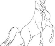 Coloriage Cheval Spirit &eacute;pris de libert&eacute;