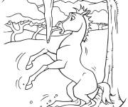 Coloriage et dessins gratuit Cheval Spirit glissant sur la glace à imprimer