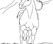 Coloriage Cheval Spirit gratuit