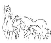 Coloriage et dessins gratuit Famille cheveux Spirit à imprimer