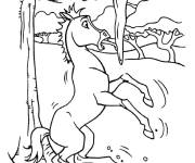 Coloriage et dessins gratuit Sc&egrave;ne du jeune &eacute;talon dans une situation dr&ocirc;le à imprimer