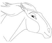 Coloriage et dessins gratuit Spirit le cheval Mustang sauvage à imprimer