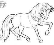 Coloriage Spirit Riding free