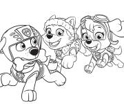 Coloriage et dessins gratuit Les amis de Stella, Everest et Zuma de cartoon Pat Patrouille à imprimer