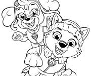 Coloriage et dessins gratuit Les deux chiots Stella et Everest à imprimer