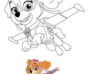 Coloriage et dessins gratuit Stella en volant de Pat Patrouille à imprimer