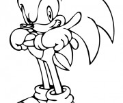 Coloriage Super Sonic 8
