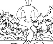 Coloriage Titi sent une rose