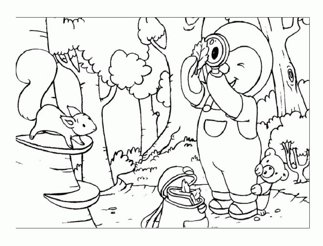 Coloriage Tchoupi Et Doudou Dans La Forêt Dessin Gratuit à