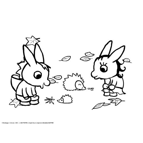 Coloriage Ane A Imprimer