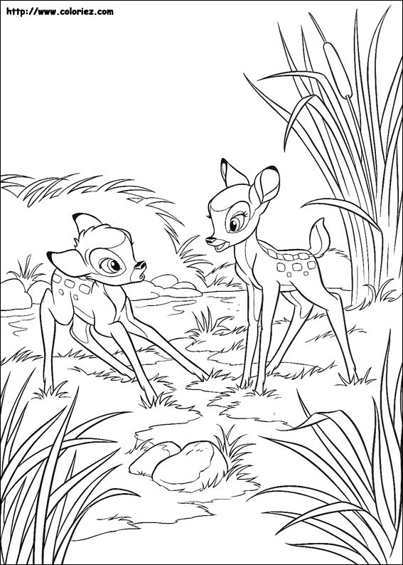 Coloriage et dessins gratuits Bambi est surpris de Féline à imprimer