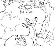 Coloriage Monsieur Hibou, Bambi et sa m&egrave;re