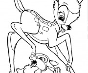 Coloriage Petit Bambi et Panpan