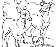 Coloriage Renno et la mère de Bambi