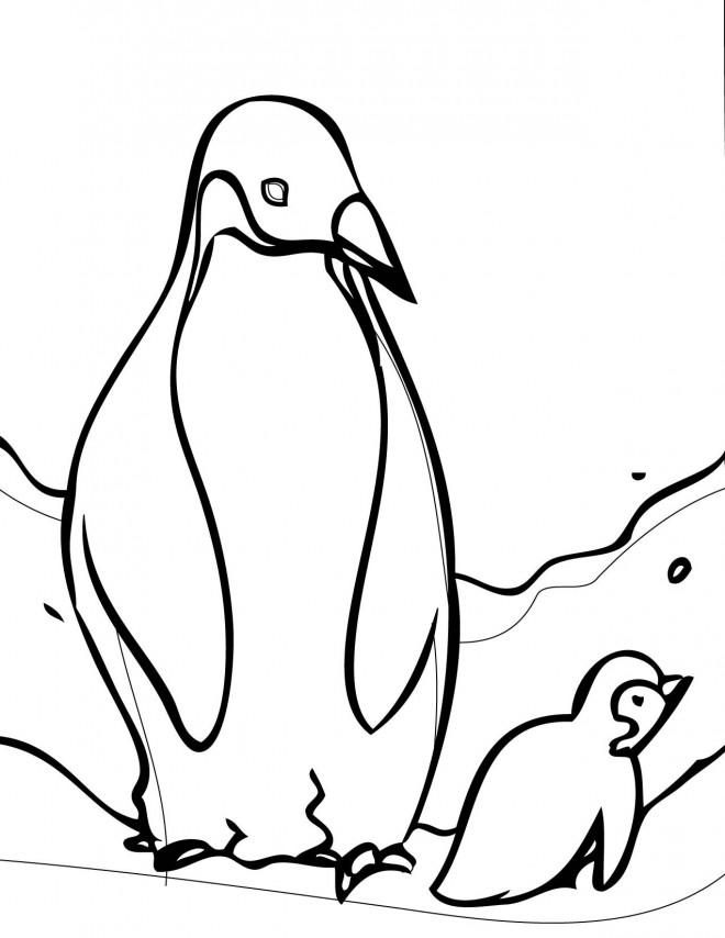 Coloriage et dessins gratuits Club Penguin en noir et blanc à imprimer