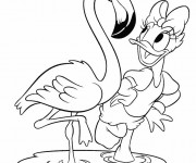 Coloriage Daisy danse avec le flamant rose