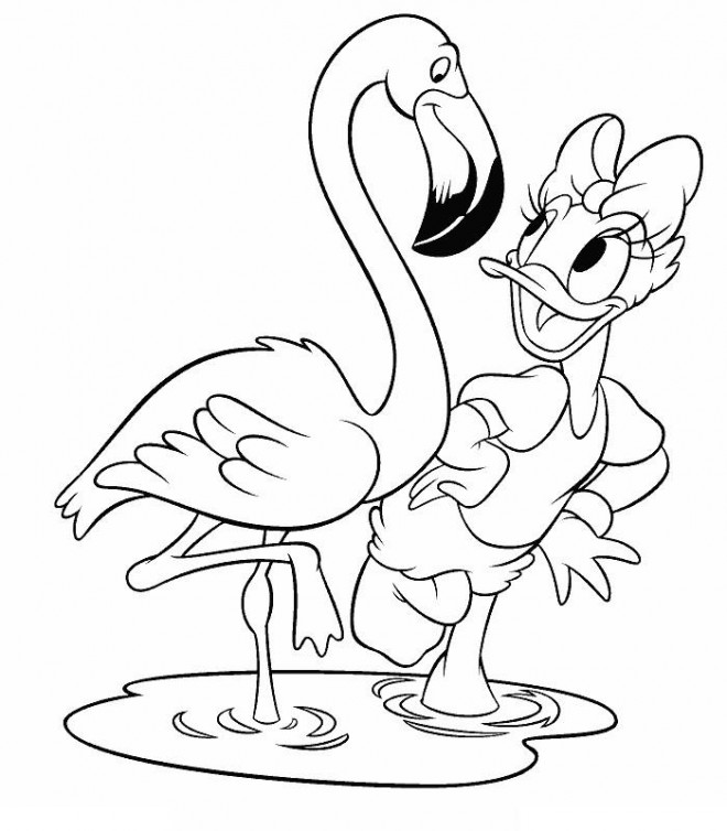 Coloriage Daisy Danse Avec Le Flamant Rose Dessin Gratuit à