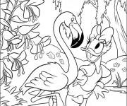 Coloriage Daisy danse avec un flamant rose