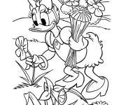 Coloriage Daisy Duck collecte les jolies fleurs