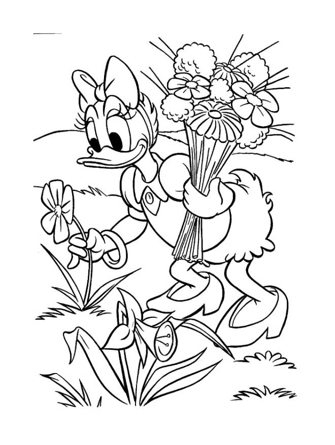 Coloriage et dessins gratuits Daisy Duck collecte les jolies fleurs à imprimer