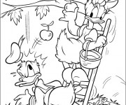 Coloriage Daisy et Donald font la cueillette