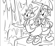 Coloriage Daisy et Donald trouve une cascade