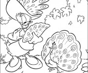 Coloriage Daisy parle avec un paon