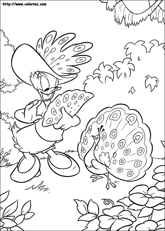 Coloriage et dessins gratuits Daisy parle avec un paon à imprimer