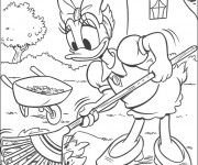 Coloriage Daisy ramasse les feuilles mortes