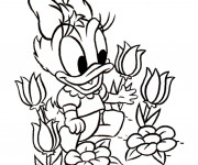 Coloriage La petite Daisy cueille des fleurs