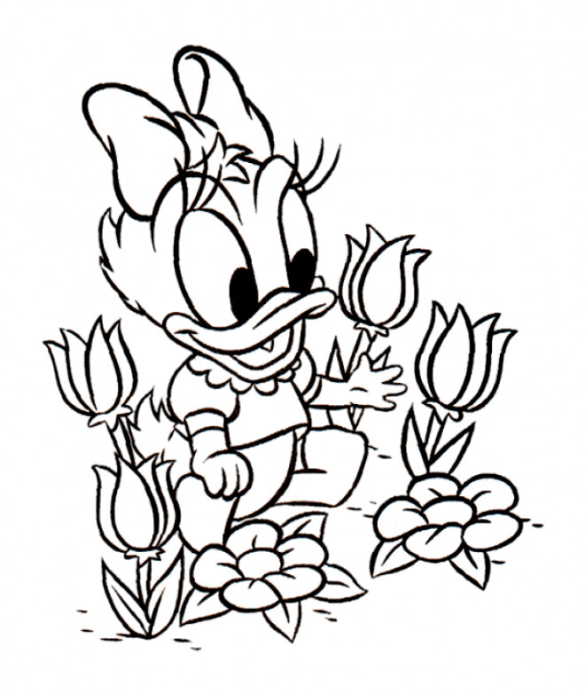 Coloriage La Petite Daisy Cueille Des Fleurs Dessin Gratuit