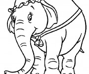 Coloriage Madame Jumbo Walt Disney