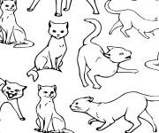 Coloriage Les chats de Hocus Pocus