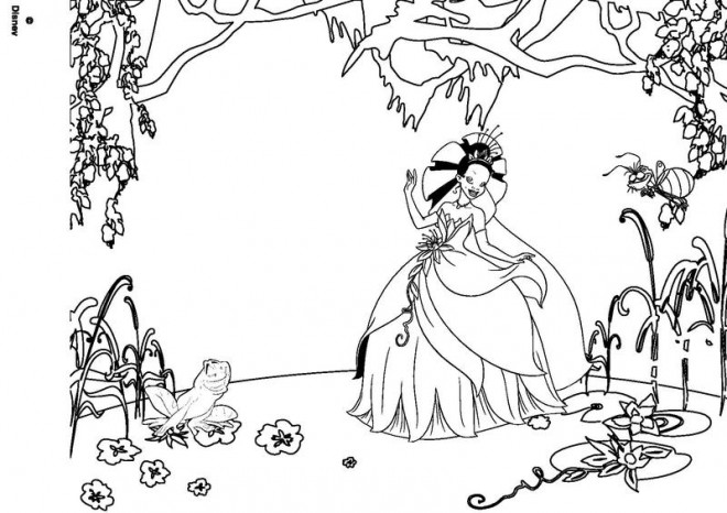 Coloriage De Grenouille Gratuit