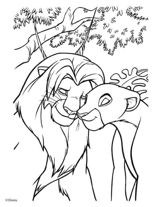 Coloriage Le Roi Lion Et Nala Sadorent Dessin Gratuit à