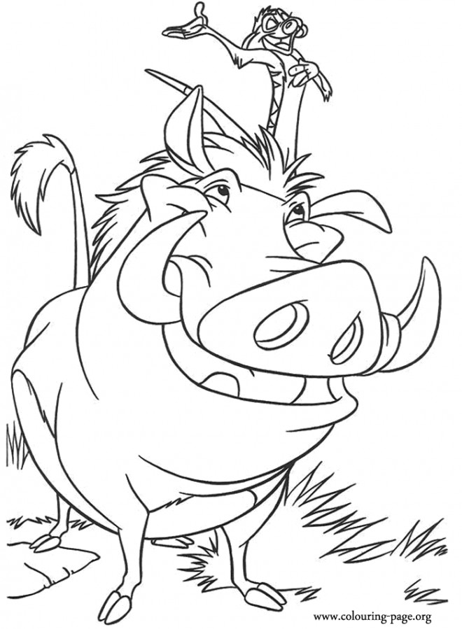 Coloriage Le Roi Lion Pumbaa et Timon dessin gratuit à imprimer