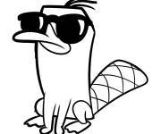 Coloriage Perry en lunettes solaires