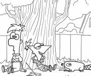 Coloriage Phineas et Ferb dans le jardin avec Perry
