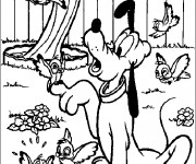 Coloriage Pluto parle avec un oiseau
