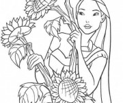 Coloriage Pocahantas cueille les fleurs de tourne sol