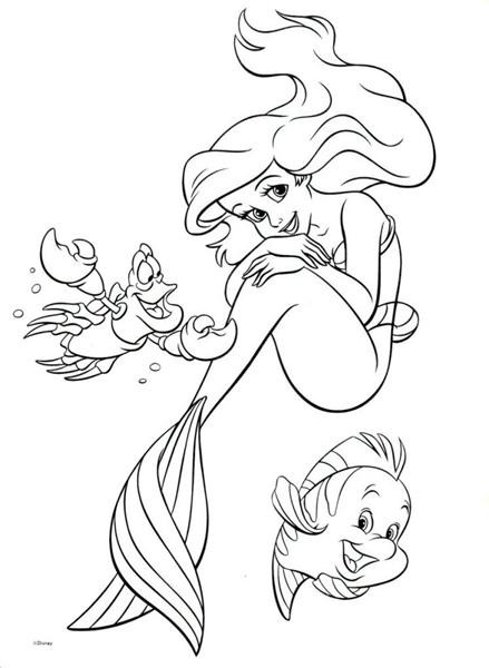 princesse ariel 16 3153