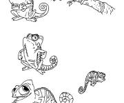 Coloriage Pascal facile