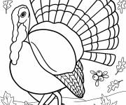 Coloriage Dinde r&eacute;aliste de l'action de gr&acirc;ce cmp