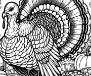 Coloriage Dinde r&eacute;aliste sur le th&egrave;me de l'Action De Gr&acirc;ce