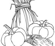 Coloriage Gerbes de bl&eacute; et citrouilles pour Thanksgiving