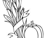 Coloriage Gerbes de bl&eacute;, pommes et citrouille pour action de gr&acirc;ce