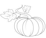 Coloriage Grosse citrouille pour l'Action de Grace 